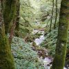 09 b Schluchensteig Etappe 4 - 6